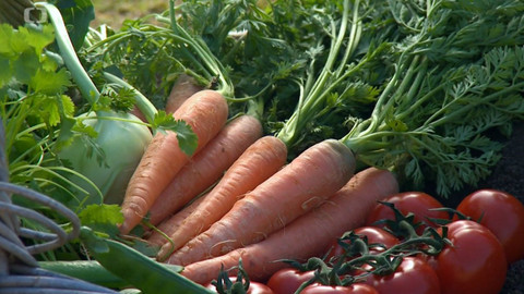 Polopatě - 13. listopadu 2022