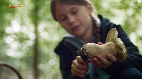 My se máme - My se máme, že máme houbaření