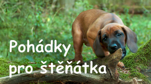 Pohádky pro štěňátka