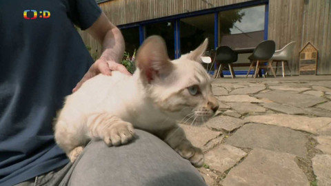 Terčin zvířecí svět - 8. září 2023