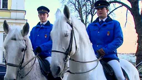 Koně na Žofíně 2013