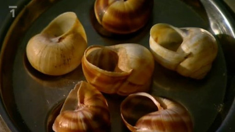 Pod pokličkou - Pro jídlo chutné dobré stolování nutné. Co všechno nevíme a víme o tom, co pijeme a jíme