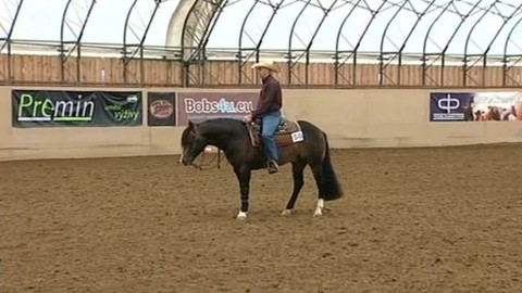 Jezdectví - Jezdecké závody v reiningu Krakovany 2013