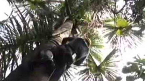 Přidej se - Amazonie – globální problémy