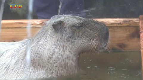 Zprávičky - 27. listopadu 2023