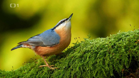 Polopatě - 30. května 2021