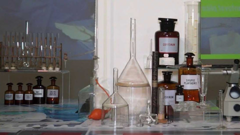 Tamtam - 6. července 2024