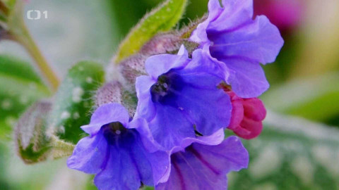 Polopatě - 27. dubna