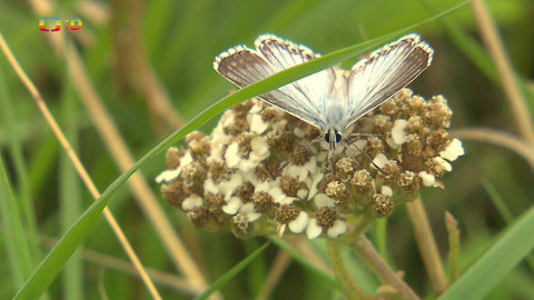 Zprávičky - 28. července 2024