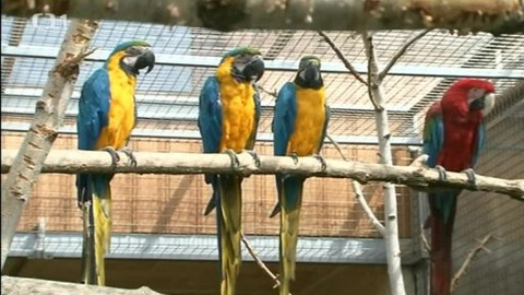 Toulavá kamera - 7. července 2013