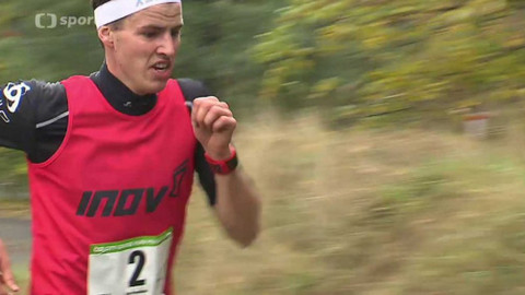 Sport v regionech - ČEZ City Cross Run