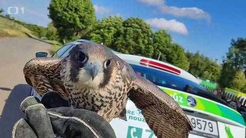 Máme rádi zvířata - 15. května 2023