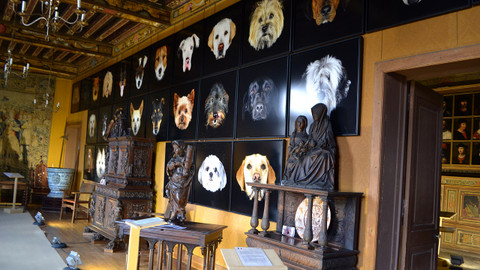 Postřehy odjinud - Zámky na Loiře očima Jana Šmída