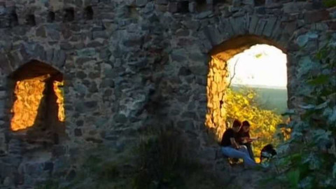 Diagnóza - Smrtící meningokok