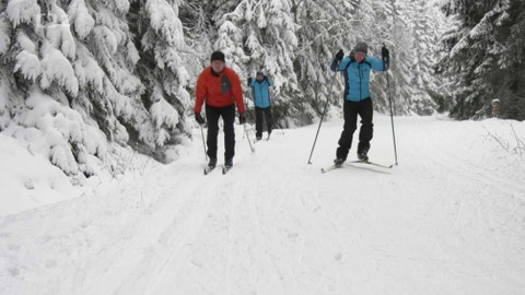 Běžkotoulky - Jeseníky, sedlo Skřítek