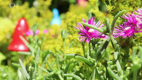 Kvarteto - Formy recyklace odpadů