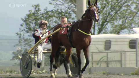 Dostihy - Klasické Jarní ceny Moravskoslezského kraje
