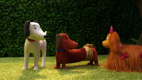 Rusty - 12/52 Ocásek