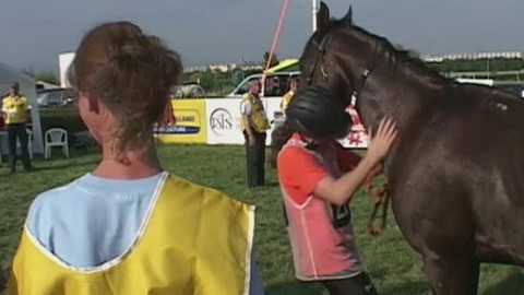 Jezdectví - Mezinárodní závody v jezdecké vytrvalosti Most