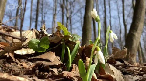 Regiony ČT24 - 6. března 2021