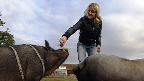 Máte mě! - 5. února 2012