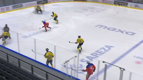 1. česká hokejová liga mužů - Maxa liga - souhrn