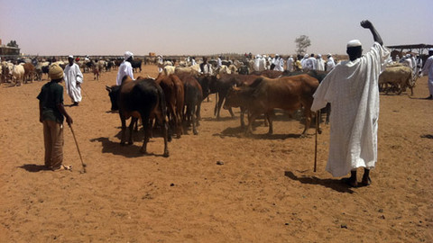 Na cestě - Na cestě po soutoku Bílého a Modrého Nilu