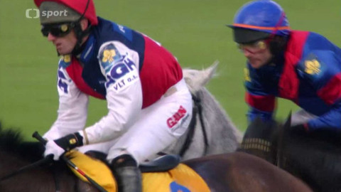 Velká pardubická - historie - 2011