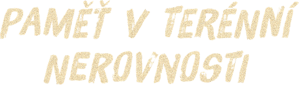 Paměť v terénní nerovnosti