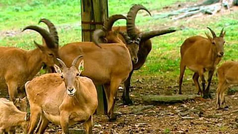 Ze ZOO do ZOO - 12/13 Olomouc