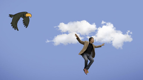 Emoce v umění - 18/24 Humor