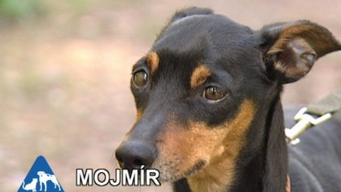 Chcete mě? - Chcete je?