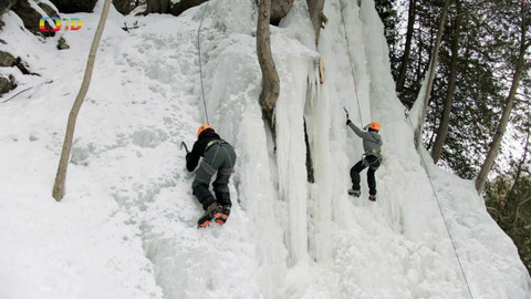 Nejlepší zvítězí: Severní Amerika - Epizoda 7/11