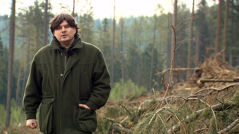 Nedej se! - Pytlák kůrovec