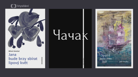 Magnesia Litera - Litera za poezii