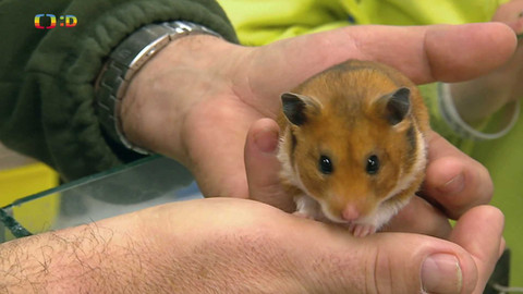 Terčin zvířecí svět - 18. dubna