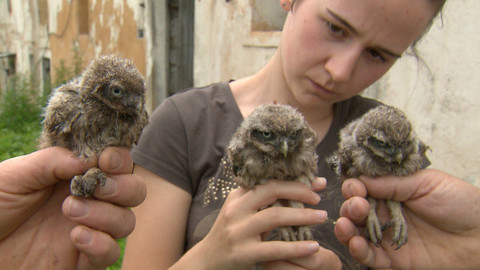 Chcete mě? - 25. září 2016