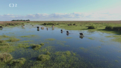 Dobrodružství vědy a techniky - Kde se třpytí voda - národní park Iberá