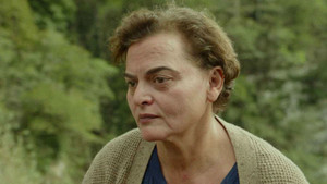 Obrázek pořadu Kos v ostružiní