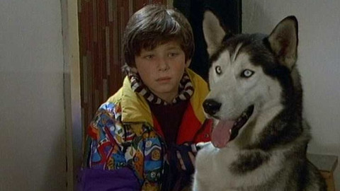 O zvířatech a lidech - 10/13 Vánoce