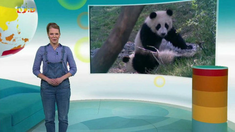 Zprávičky - 4. dubna 2017