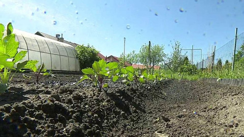 Týden v regionech (Ostrava) - 12. května 2018