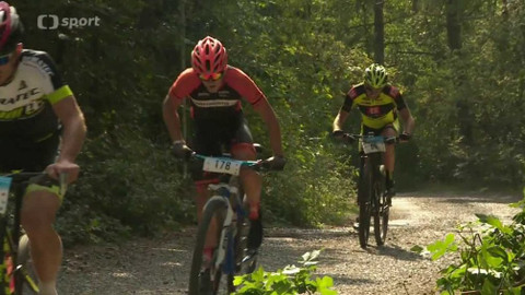 Cyklistika - Author Pražská 50