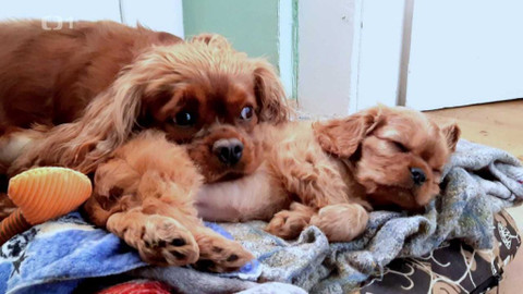 Polopatě - 19. března 2023