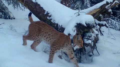 Týden v regionech (Brno) - 6. listopadu 2021