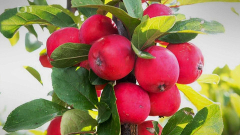 Polopatě - 8. září 2024