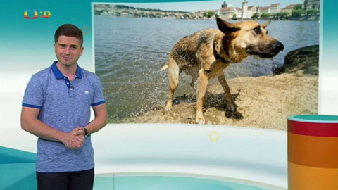 Zprávičky - 21. června 2017