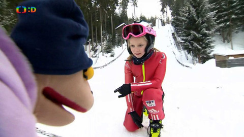 Lvíčata - 16. února 2019