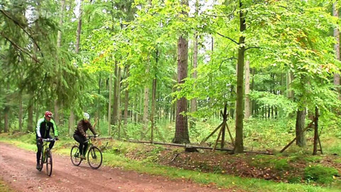 Cyklotoulky - CHKO Brdy