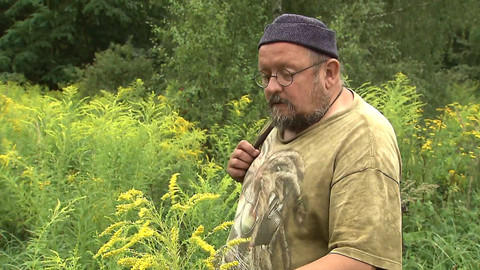 Nedej se! - Zelení migranti